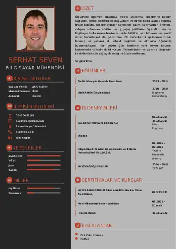 Bilgisayar Mühendisi CV Örnekleri cv indir